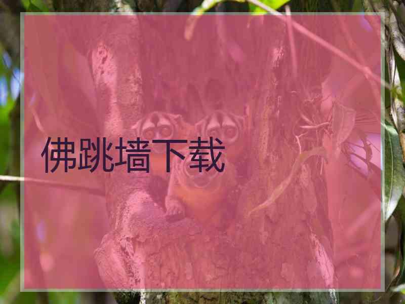 佛跳墙下载