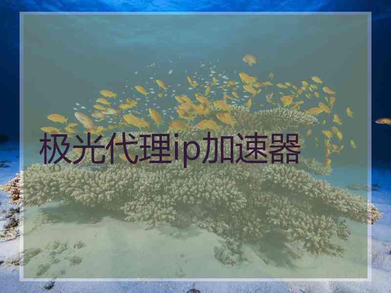 极光代理ip加速器