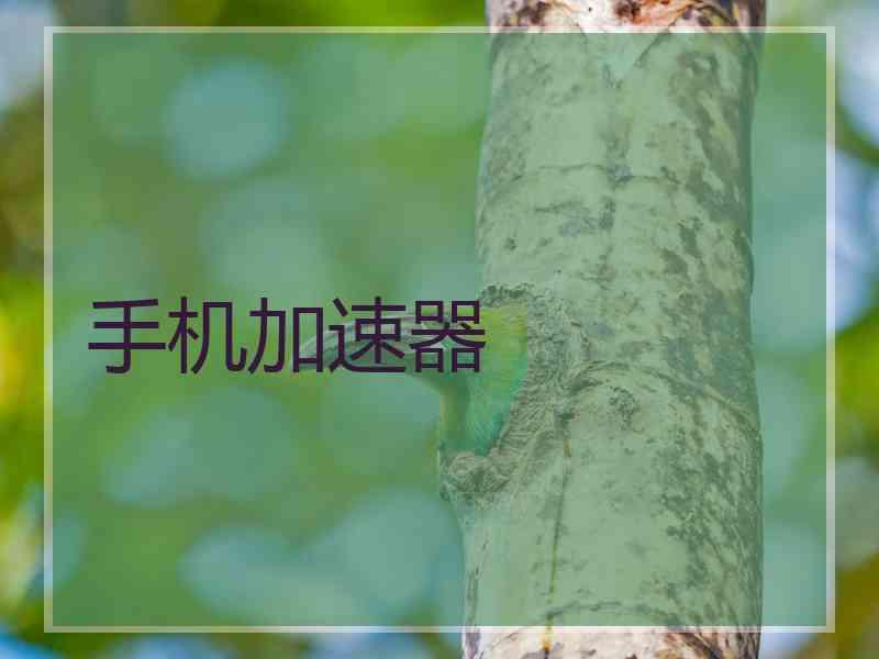 手机加速器