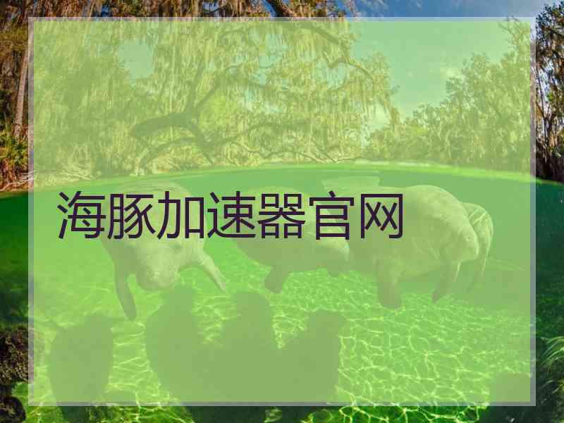 海豚加速器官网