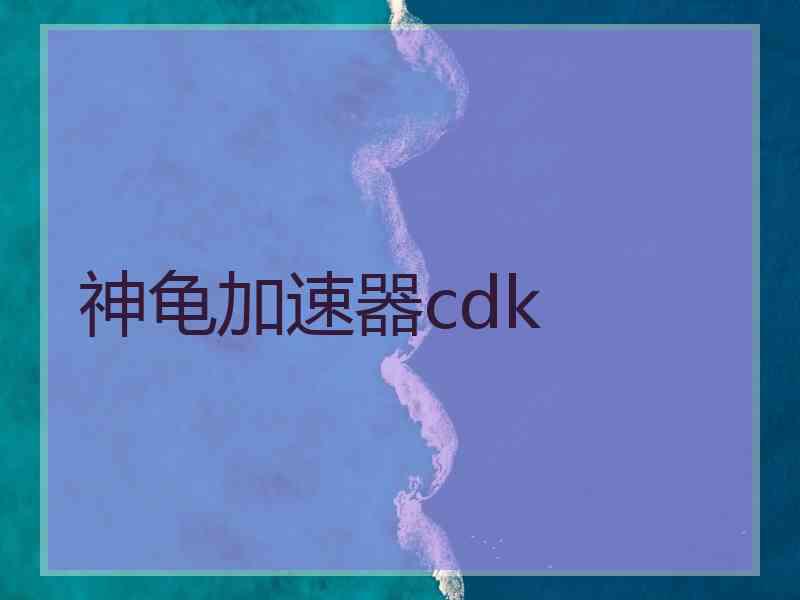 神龟加速器cdk
