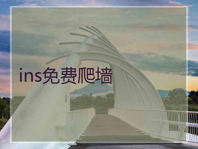 ins免费爬墙
