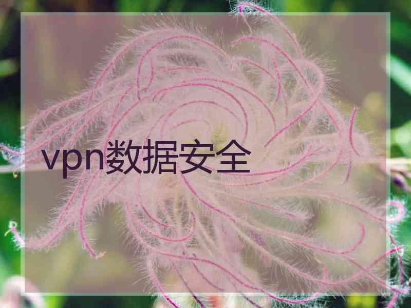 vpn数据安全