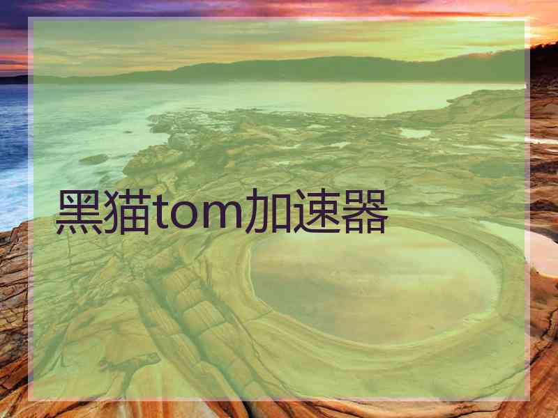 黑猫tom加速器