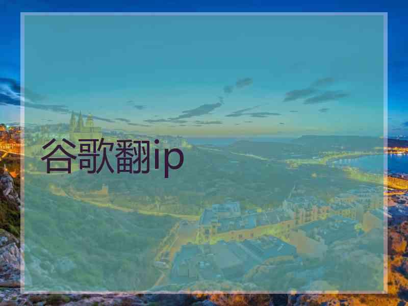 谷歌翻ip