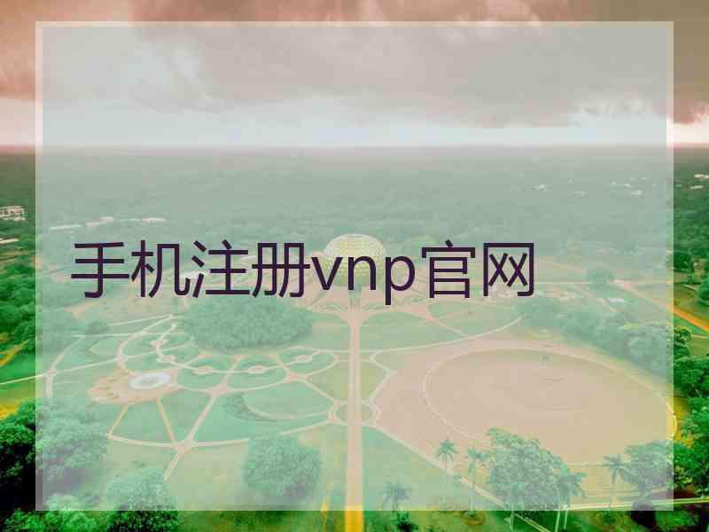 手机注册vnp官网