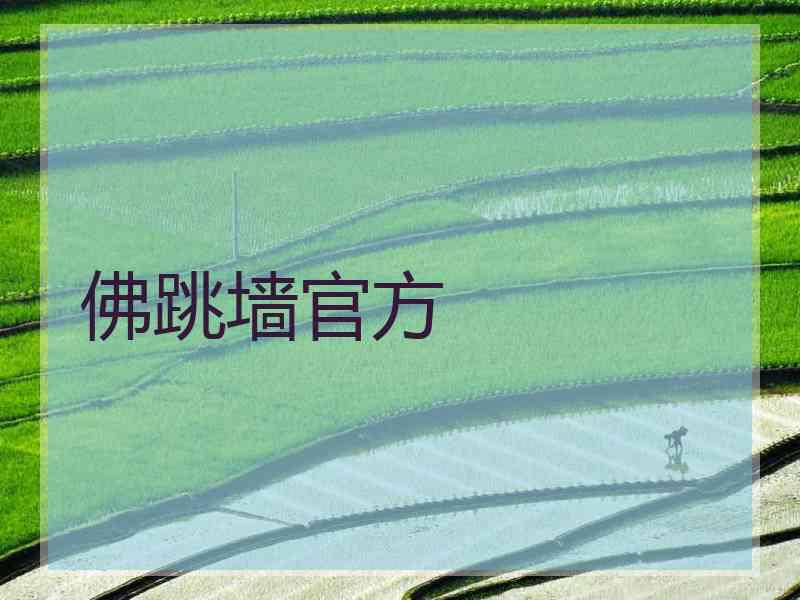 佛跳墙官方