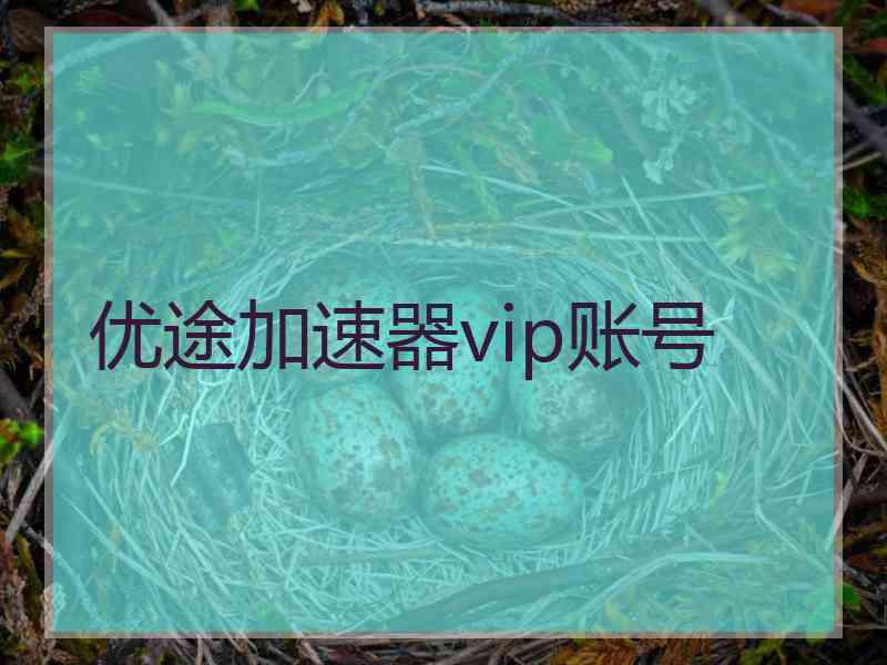 优途加速器vip账号