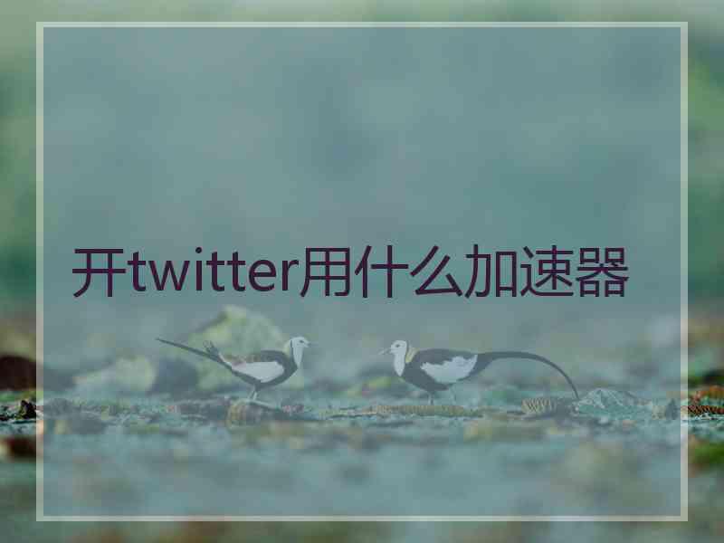 开twitter用什么加速器