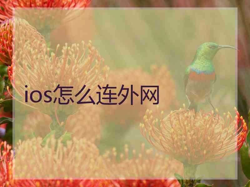ios怎么连外网