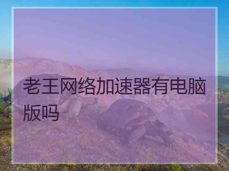 老王网络加速器有电脑版吗