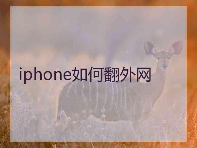 iphone如何翻外网