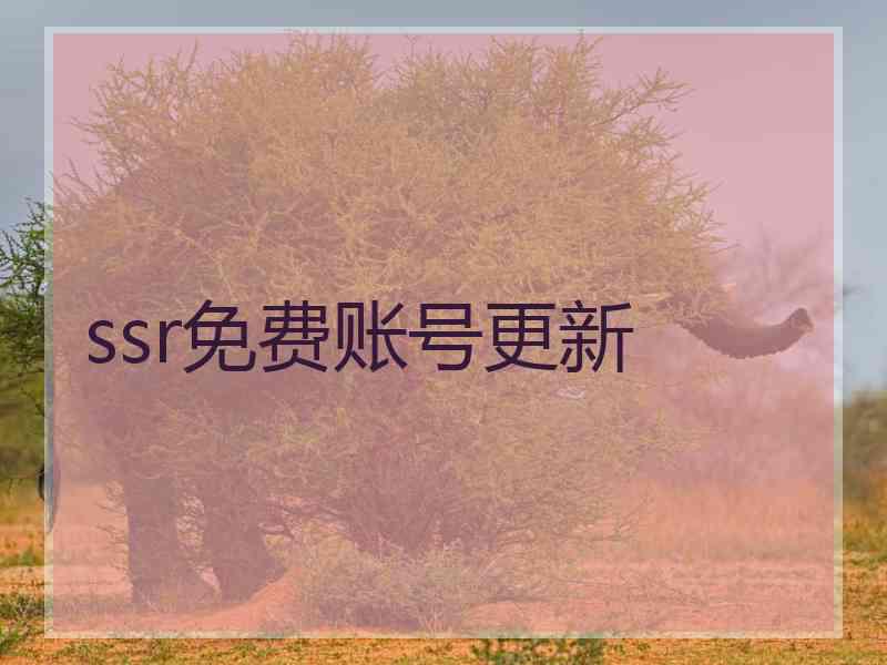 ssr免费账号更新