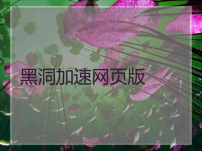 黑洞加速网页版