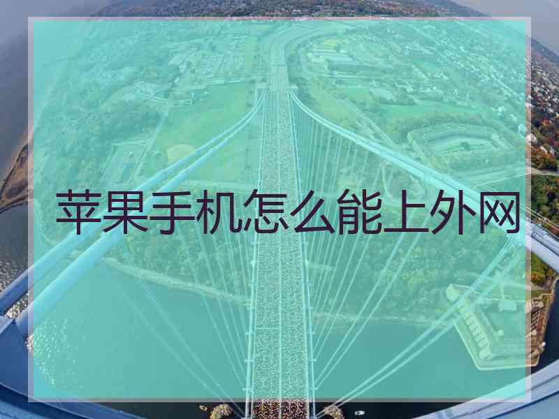 苹果手机怎么能上外网