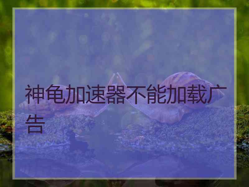 神龟加速器不能加载广告