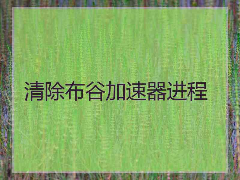 清除布谷加速器进程