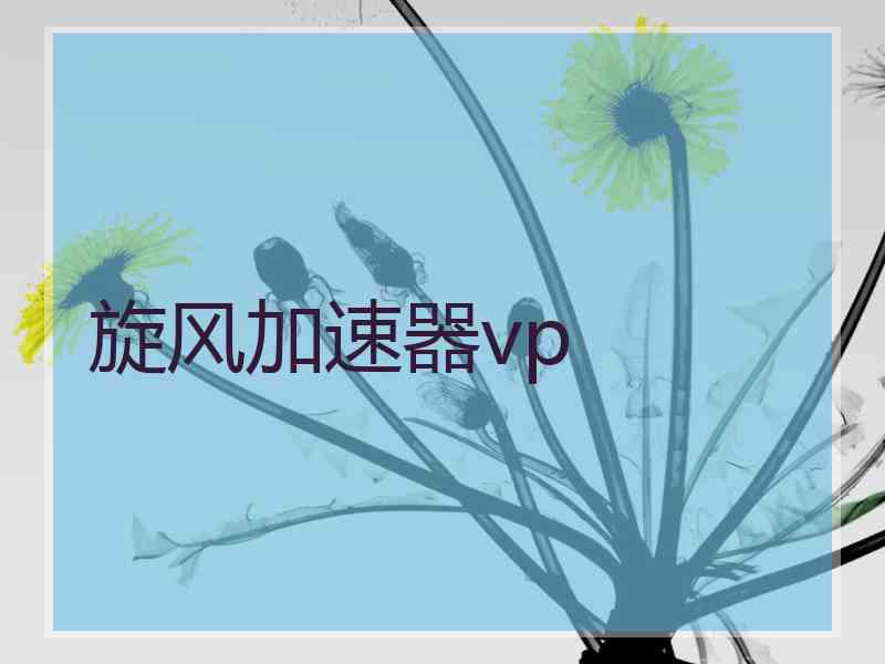 旋风加速器vp