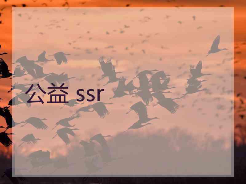 公益 ssr