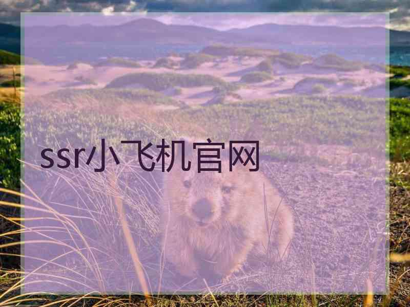 ssr小飞机官网