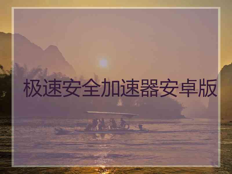 极速安全加速器安卓版