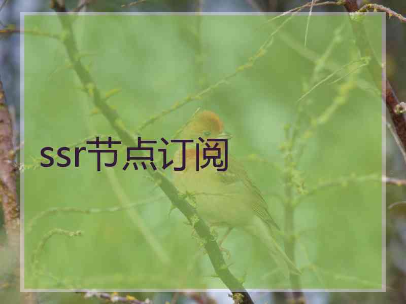 ssr节点订阅