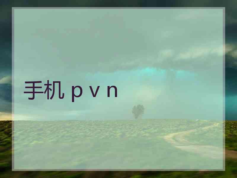 手机 p v n