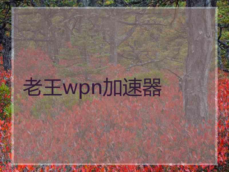 老王wpn加速器