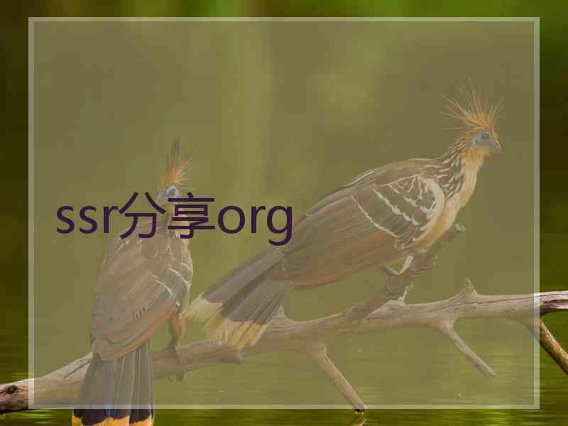 ssr分享org