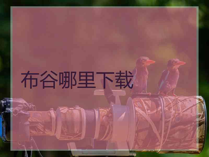 布谷哪里下载