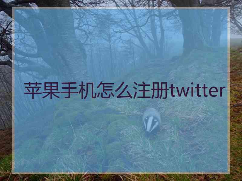 苹果手机怎么注册twitter
