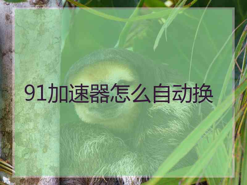 91加速器怎么自动换