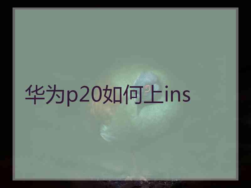 华为p20如何上ins