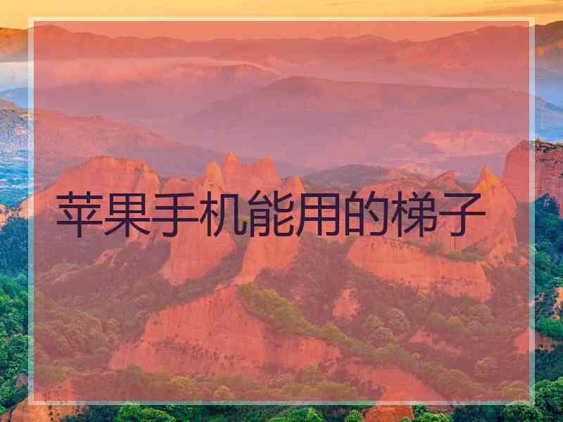 苹果手机能用的梯子