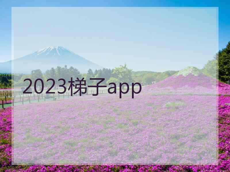 2023梯子app