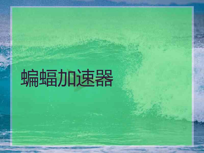 蝙蝠加速器