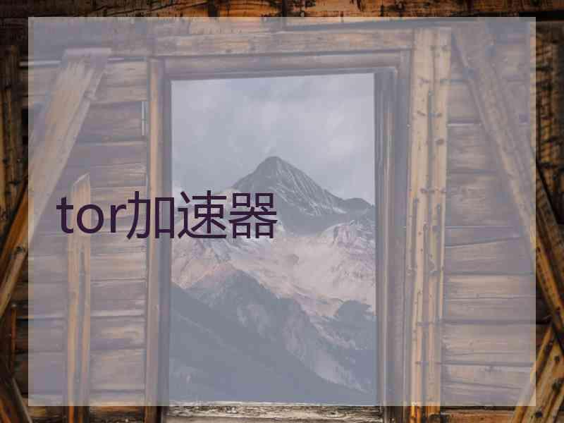 tor加速器