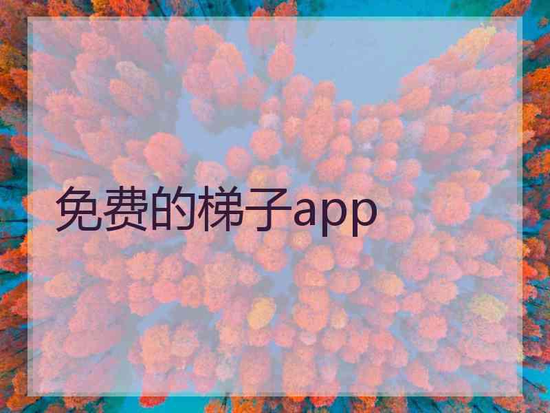 免费的梯子app