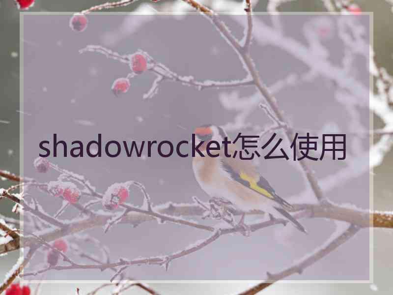 shadowrocket怎么使用