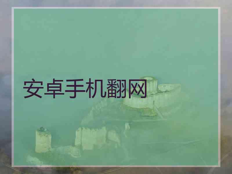 安卓手机翻网