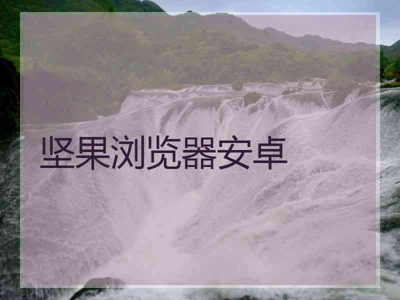 坚果浏览器安卓