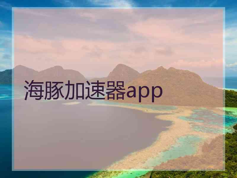 海豚加速器app