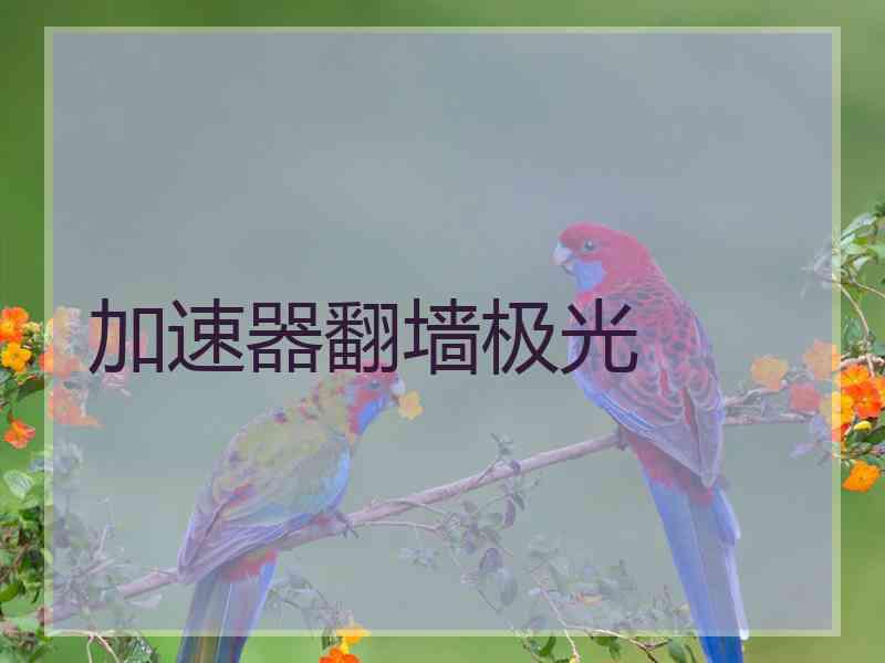 加速器翻墙极光