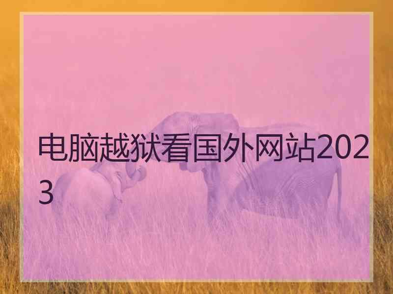 电脑越狱看国外网站2023