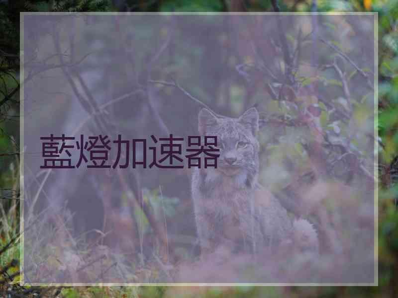 藍燈加速器