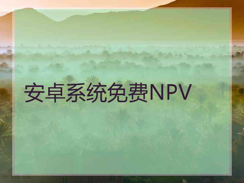 安卓系统免费NPV