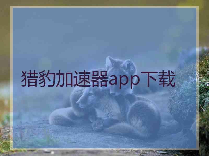 猎豹加速器app下载