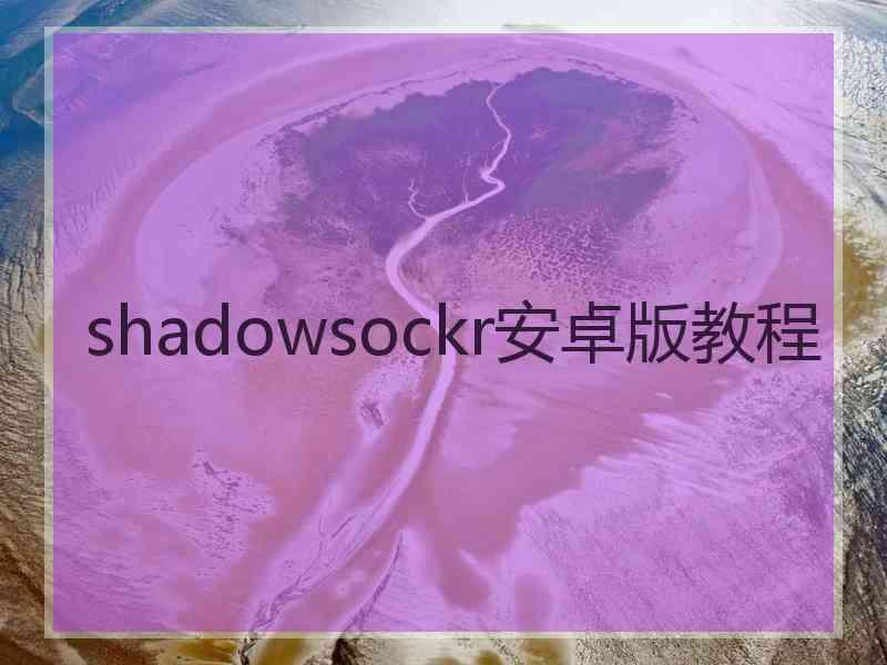 shadowsockr安卓版教程