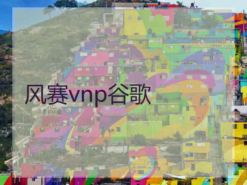 风赛vnp谷歌
