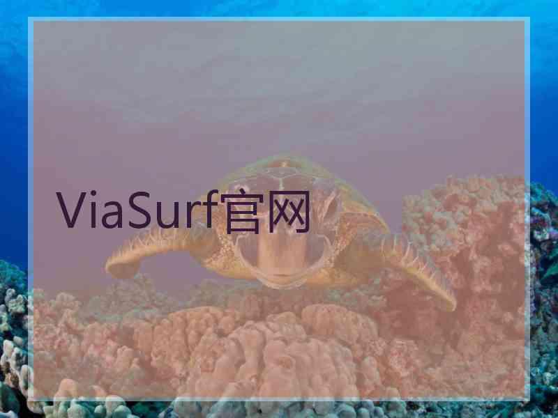 ViaSurf官网